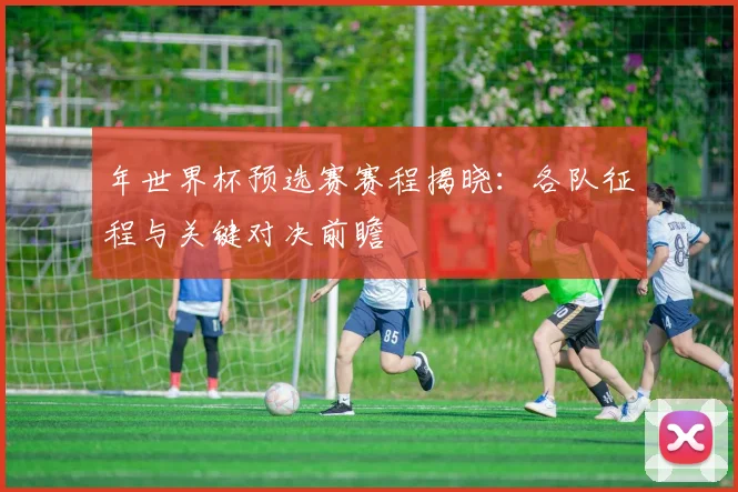 年世界杯预选赛赛程揭晓：各队征程与关键对决前瞻